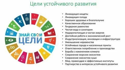Цели и концепции бизнеса