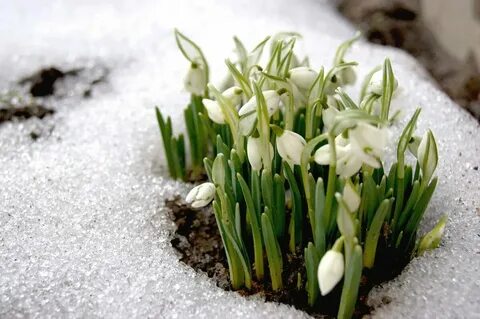 The second of march