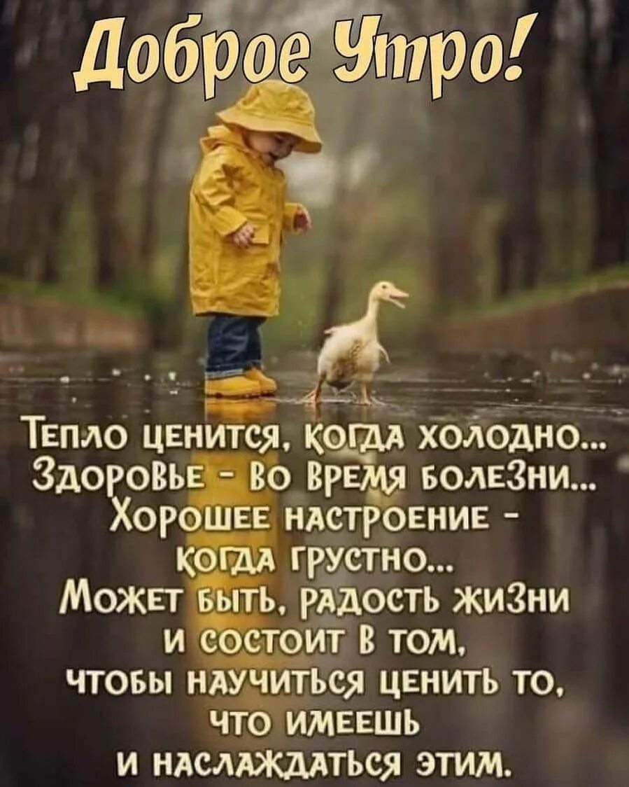 Доброе утро позитивные открытки со смыслом. Позитивные афоризмы. позитивные цитаты. доброе утро мудрые высказывания. добрые пожелания и высказывания.