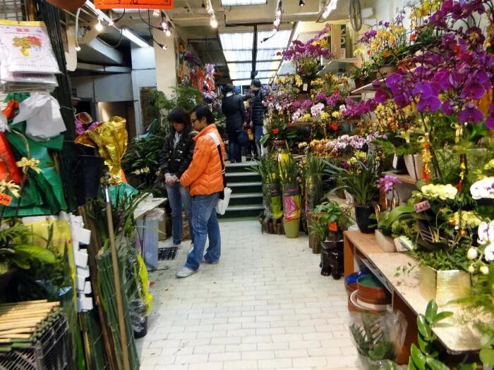 Flower Market Hong Kong. Цветочный рынок горшечных растений. Горшечные цветы на САДОВОДЕ. Садовод цветочный рынок.