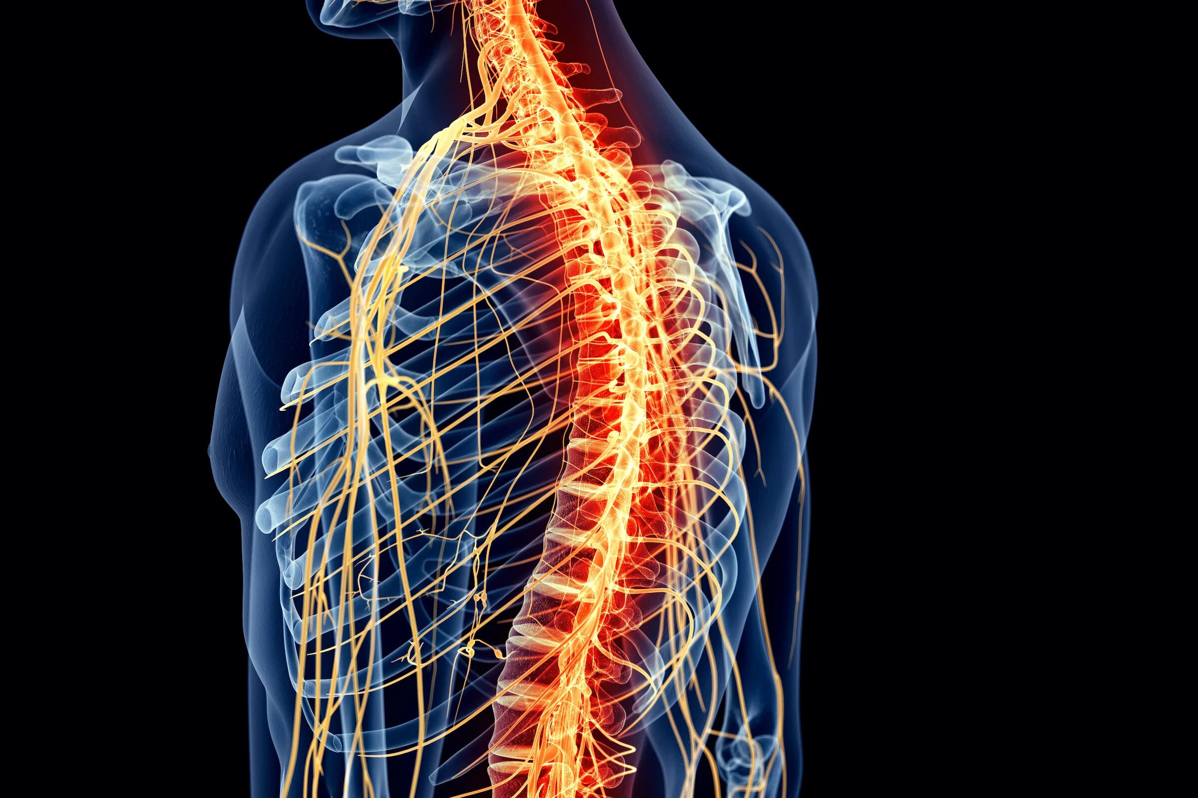 Нарушения нервной системы человека. Nervous system disorders. медицинские картинки нервы. нервная система человека фото на столе. нервная система 43 пары.