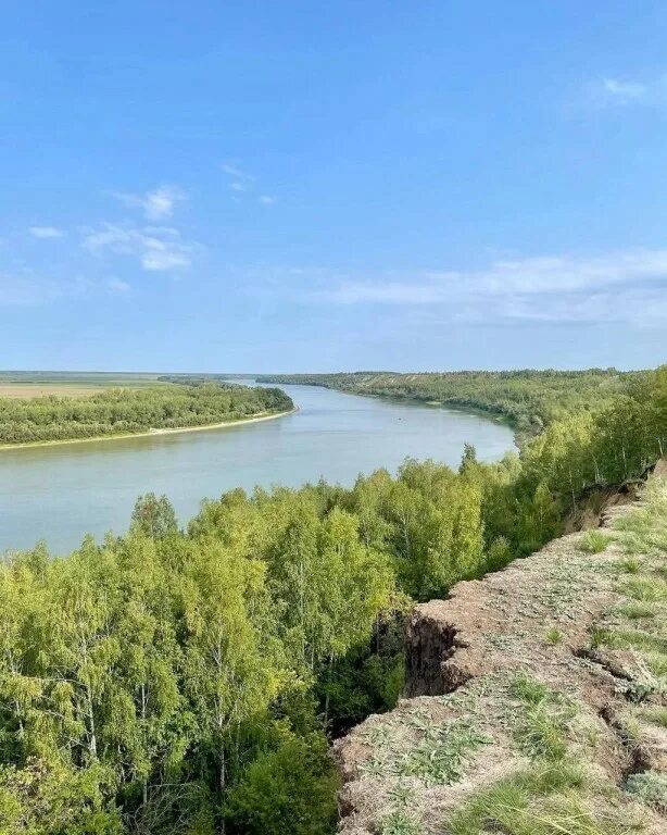 Берег Драверта Омская область. Урочище берег Драверта. Горьковский район берег Драверта. Берег Драверта село лежанка. Берег драверта