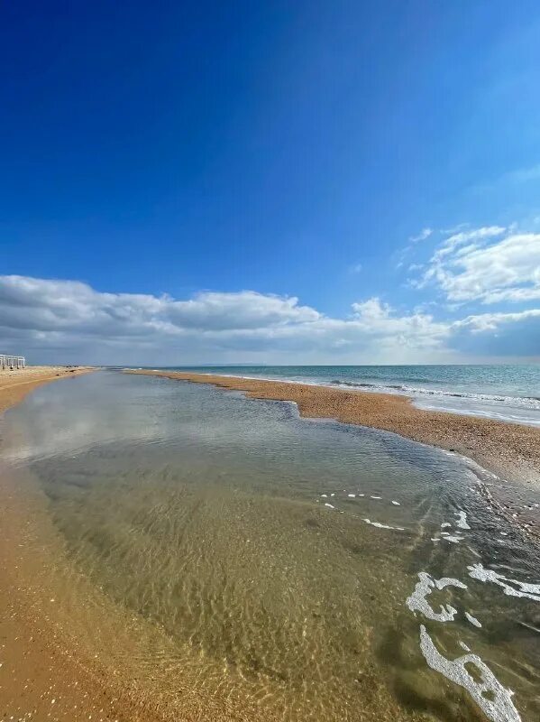 станица благовещенская 2023