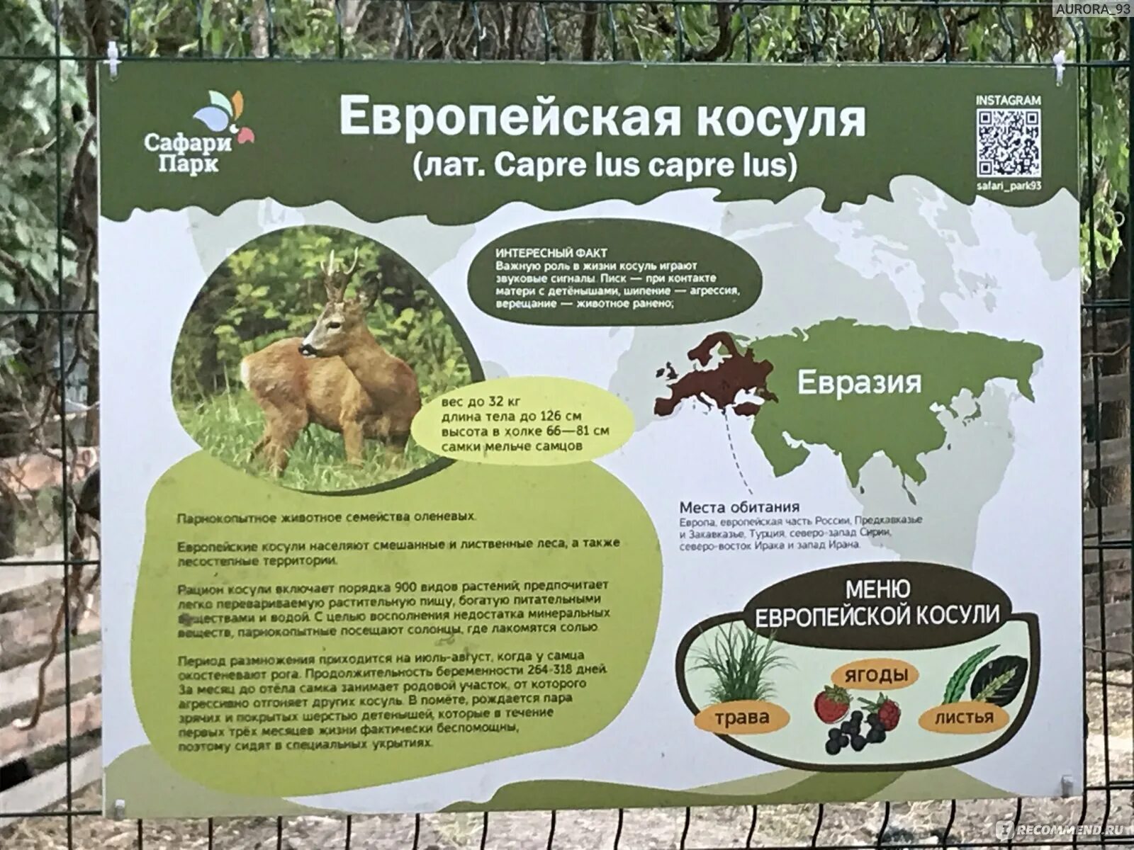 Билет в сафари парк. Сафари парк краснодар животные. Сафари-парк геленджик схема. Зоопарк в краснодаре солнечный остров расписание. Геленджик сафари-парк геленджик.