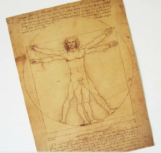 человек леонардо да винчи. пропорции лица леонардо да винчи. леонардо да винчи пейзажи. леонардо да винчи приложение. галилео галилей да винчи.