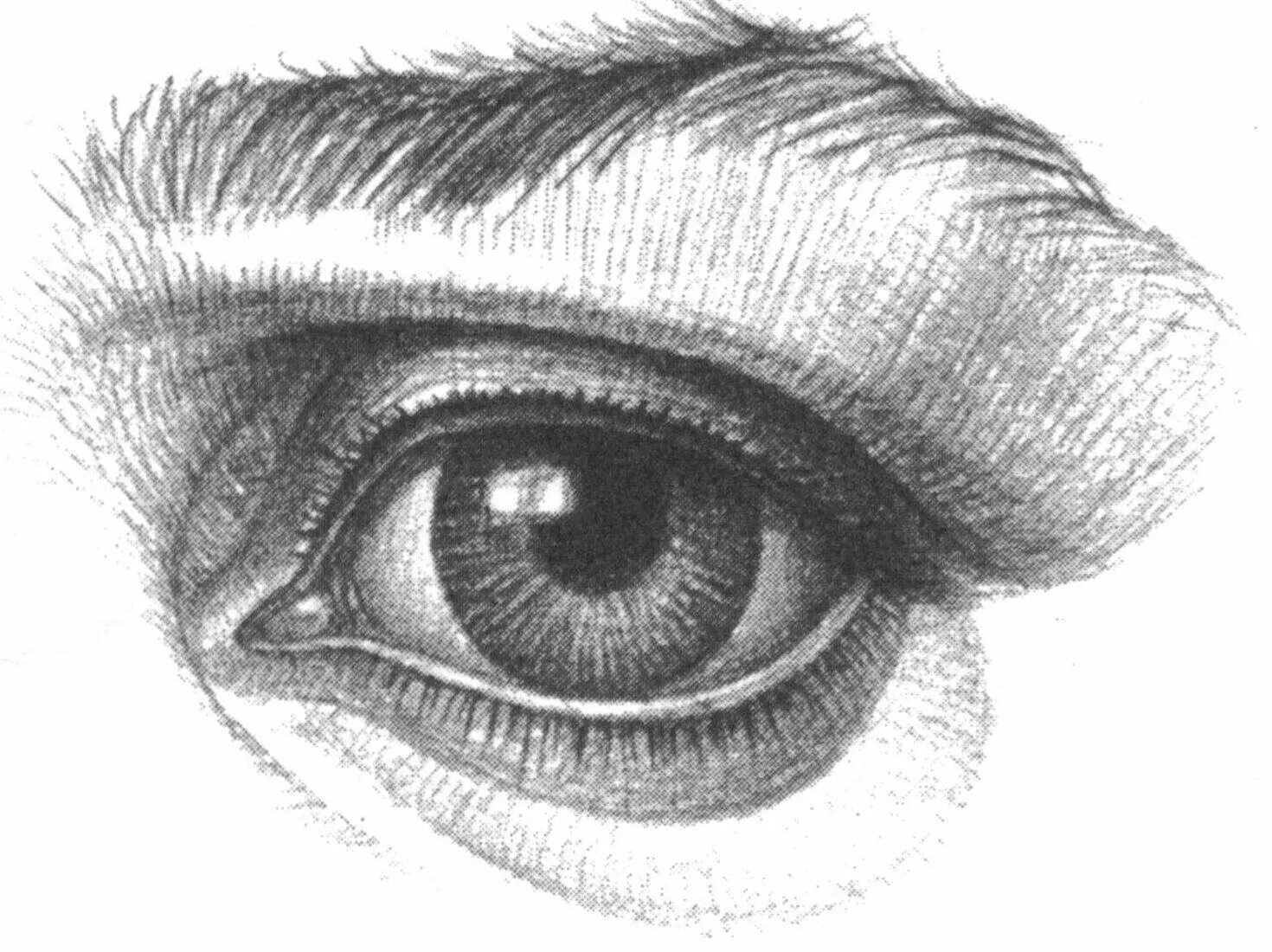 Объемный глаз рисунок. Глаза рисунок. Штриховка глаза карандашом. Анатомия глаза карандашом. Глаз человека рисунок.