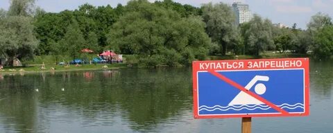 Купание запрещено памятка