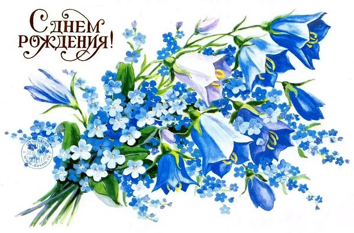Винтажные открытки. Незабудка рисунок. Открытки с незабудками. Открытки. Незабудка полевая (myosotis arvensis).