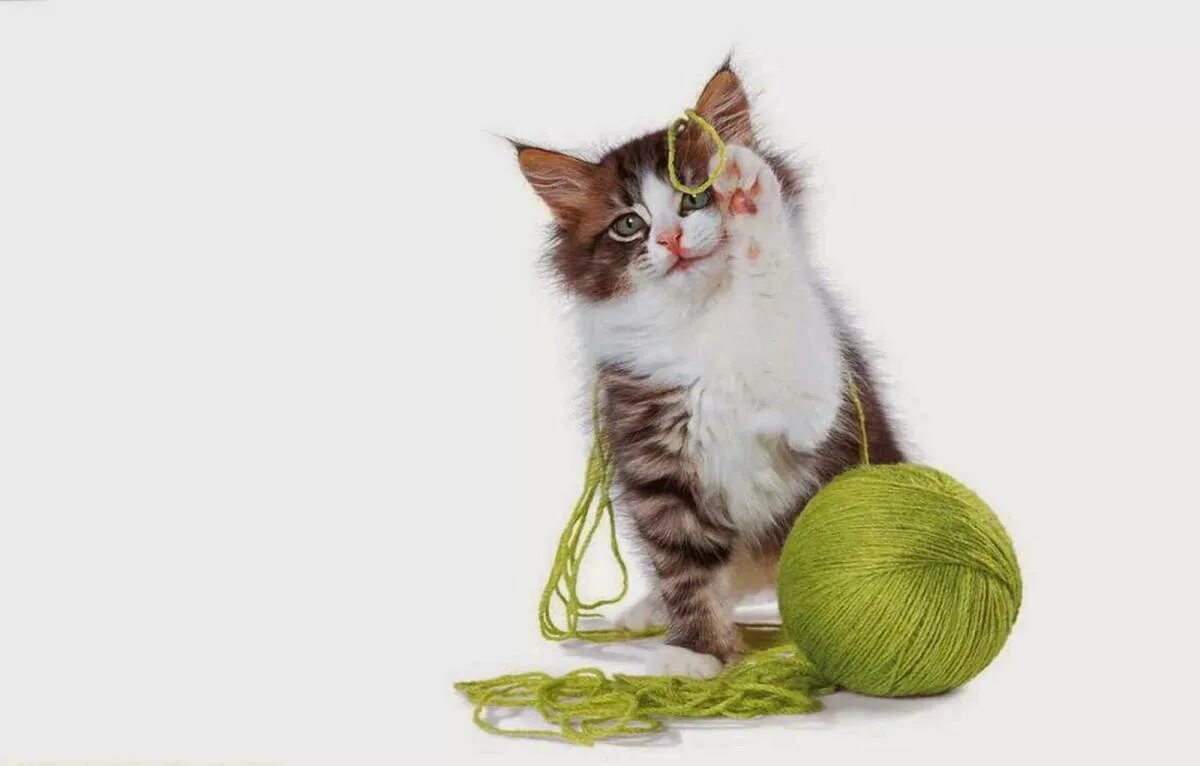 Котенок играющий с клубком. Котёнок и клубок. котенок с клубочком. котенок и клубок ниток. кошка с клубком ниток.