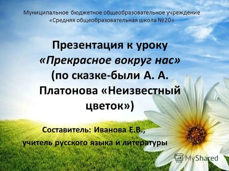 Отзыв на быль неизвестный цветок. Сочинение прекрасное вокруг нас. Неизвестный цветок прекрасное вокруг нас. Платонов неизвестный цветок прекрасное вокруг нас. Платонов неизвестный цветок презентация 6 класс.