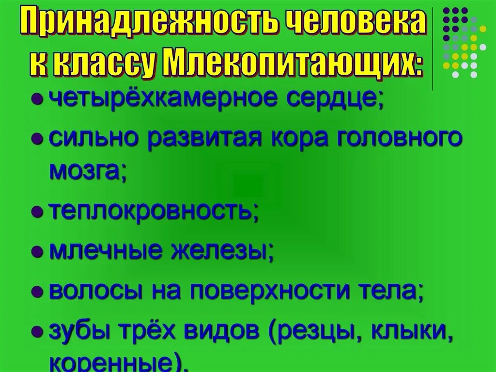 Конспект человек и млекопитающие. Признаки принадлежности человека к классу млекопитающих. На принадлежность человека к классу млекопитающие указывает. Человек класс млекопитающие. Класс млекопитающие доказательства.