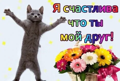 Желаю тебе друзей настоящих и верных