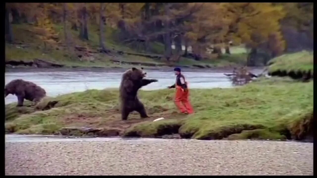 Фальшфейер против медведя. Фальшфейер против медведя купить. Фальшфейер против медведя видео. Каратист отбился от медведя видео.