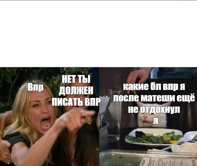 Нужно ли писать впр если пропустил. Мемы про впр комиксы. женщина кошка мем. фото из мемов за столом. можно ли не писать впр.