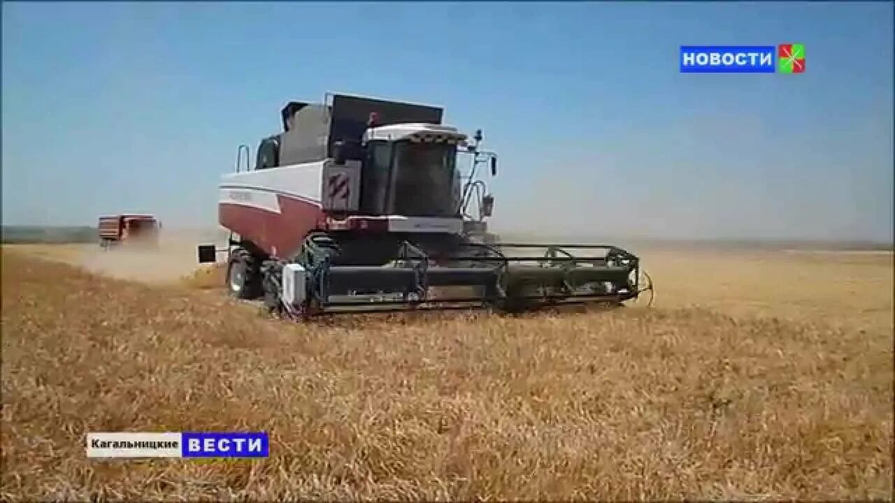 Агрофирма новобатайская. Агрофирма новобатайская. Спк аф новобатайская. Михайловский спк новобатайск. Спк аф новобатайская.