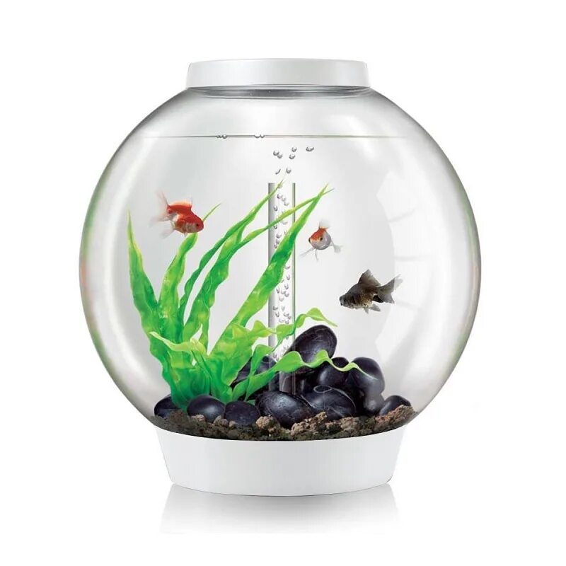 Какие бывают аквариумы. Красивые аквариумы. Морской аквариум в интерьере. Маленький аквариум. Аквариум в интерьере квартиры.