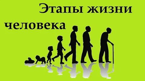 5 стадий жизни общества
