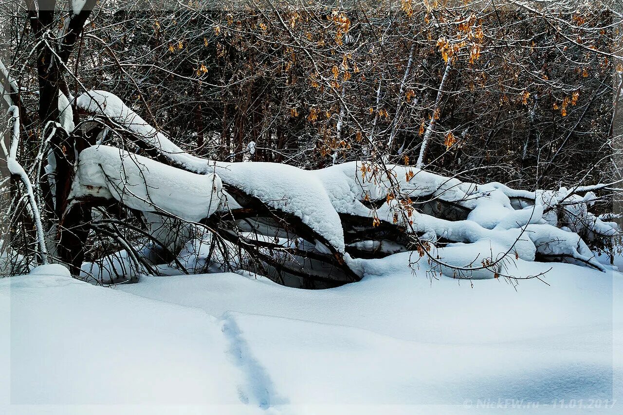 Второй половины зимы. Темников зимой фото. Пол зимы. Парк зимой солнечно. Солнечный морозный день девушка инстаграм.