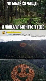 Улыбка леса