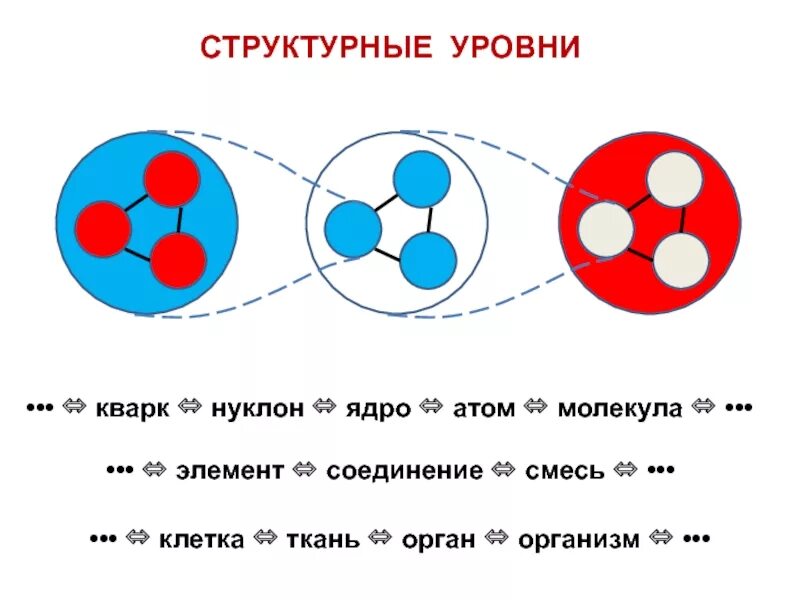 Строение электрона кварки. Строение ядра атома кварки. Клетка молекула атом кварк. Элементарные кварки. Атом сравнение размеров