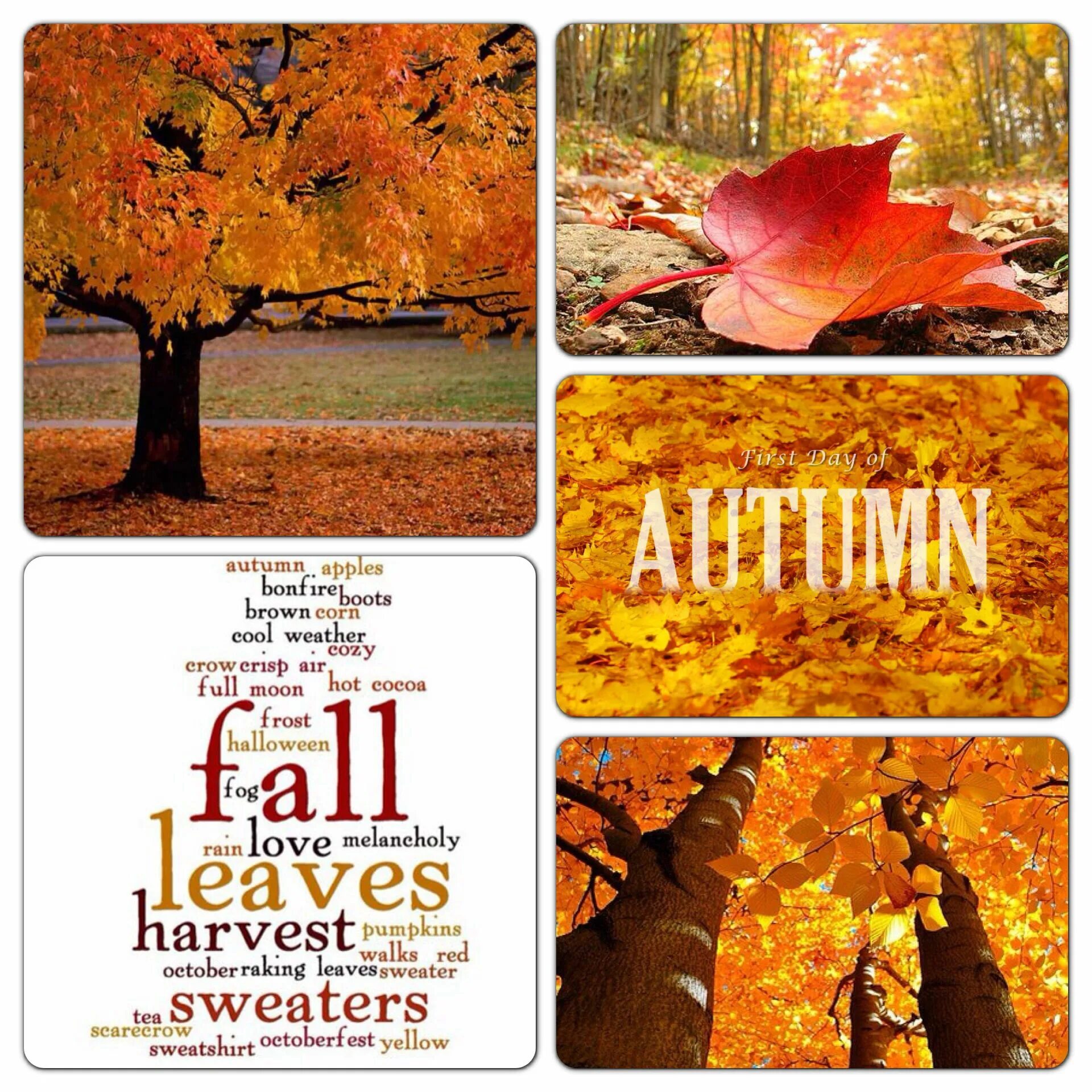 It was autumn and. First day of autumn. autumn one day. the last day of autumn. it is the last day of autumn.