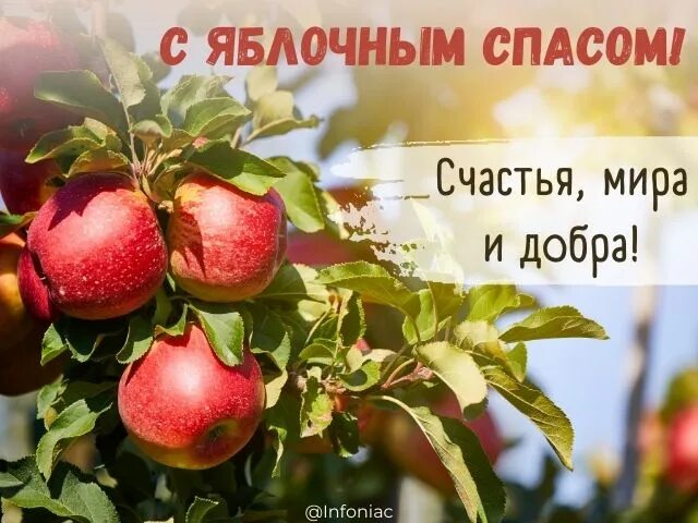 Спас яблочный медовый и ореховый какого числа