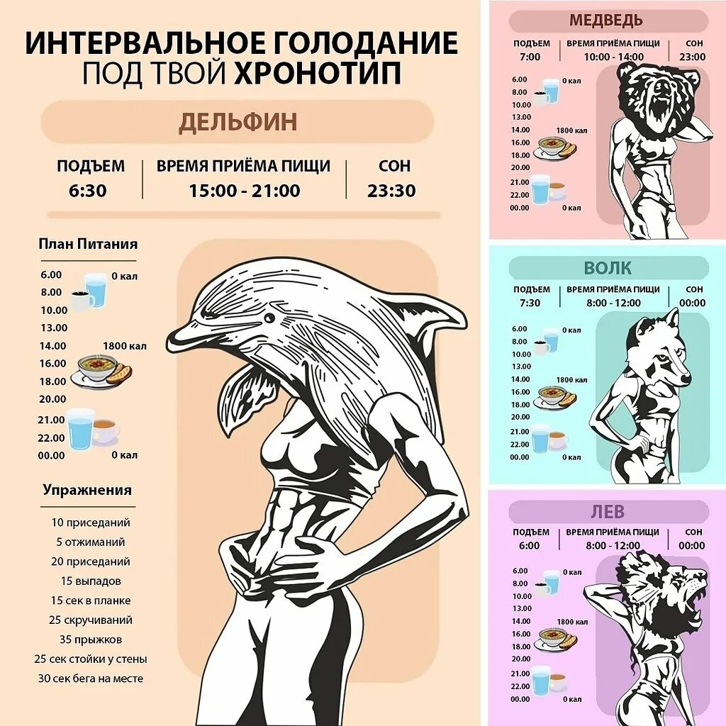 Интервальное голодание по хронотипу медведь. План питания на интервальном голодании. Интервальное голодание хронотип. Интервальное голодание схемы. Схема голода