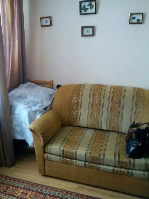 снять малосемейку в гомеле. снять малосемейку в гомеле. объявления сдается однокомнатная квартира фото. барнаул лазурная 54 снять квартиру на длительный от хозяина. нефтяников 21 азнакаево малосемейка.