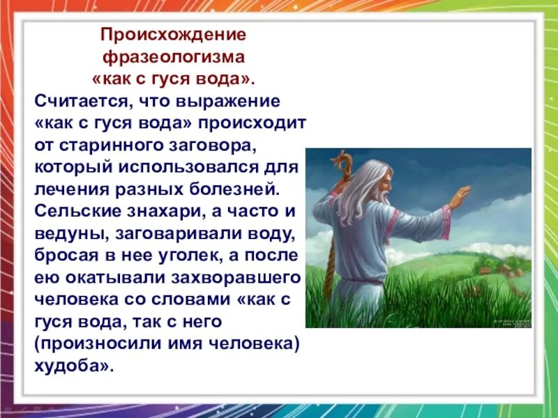 Происхождение фразеологизмов. Как с гуся вода происхождение фразеологизма. Что означает как с гуся вода. Как с гуся вода фразеологизм. Фразеологизм вкладывать во что либо всю душу