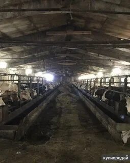 Продам крестьянско фермерское хозяйство