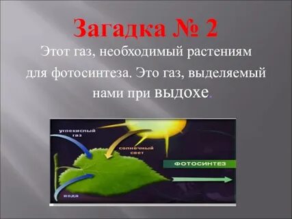 В процессе фотосинтеза происходит газообмен