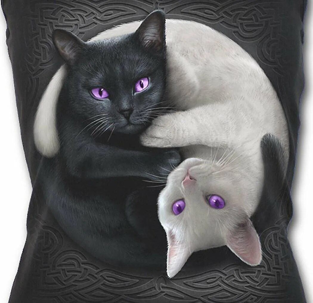 Котик инь. Инь янь кошки. черный и белый кот. кошка арт. кошка черная с белым.