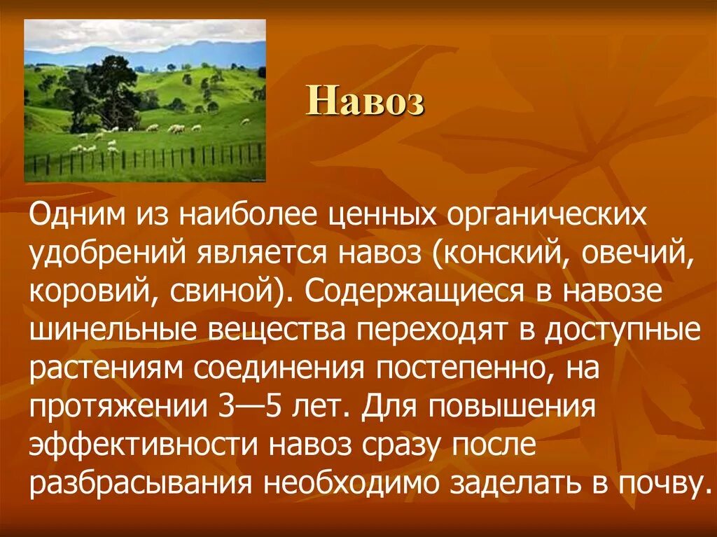 Органические удобрения презентация. Органические удобрения презентация 6 класс. Сообщение об органических удобрениях. Сообщение про навоз. Правила навоз