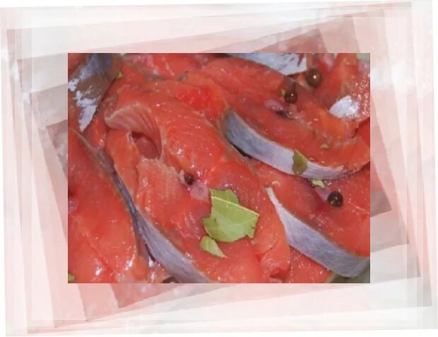 Как вкусно засолить горбушу без рассола