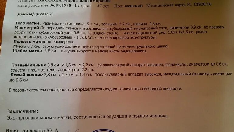 Эндометрий у девочек. Эндометрий при беременности по УЗИ. Желтое тело беременности на УЗИ. Эндометрий на сроках при беременности. Желтое тело на УЗИ Результаты.