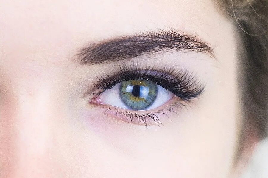 Ресницы наращивание лисий и беличий эффект. Тушь лисий взгляд. Наращивание ресниц беличий эффект 2д. Ресницы 1д лисий эффект. Песни лисий взгляд.