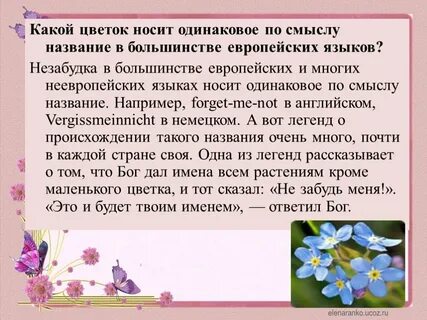 Смысл названия цветок на земле