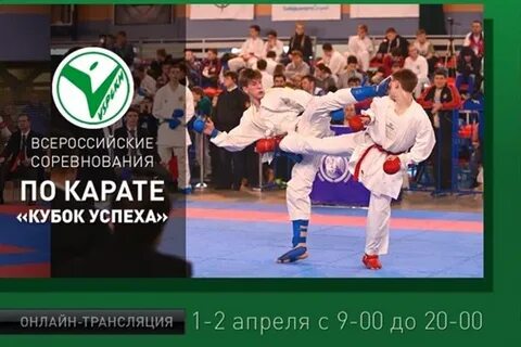 Каратэ кубок успеха