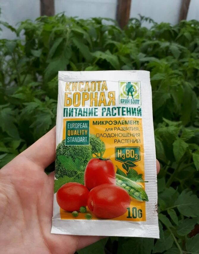Подкормить томаты. Удобрение для томатов. удобрение для помидор в теплице. подкармливаем томаты. микроэлементы для помидор в теплице.