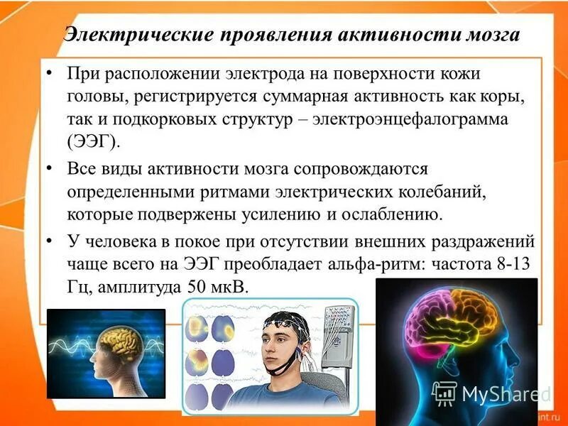 Как проявляется активность человека. Электрическая деятельность мозга. активность мозга. электрическая активность. электрические проявления активности коры большого мозга.
