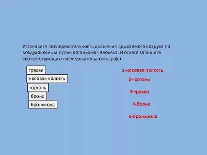 Установите в какой последовательности лучи света