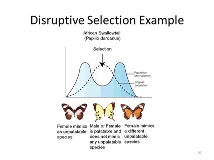 Sampling selection