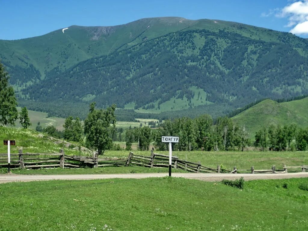 Поселок горный район. Тюнгур Республика Алтай. Село Тюнгур Алтай. Тюнгур горный. С Тюнгур Усть-Коксинского района.