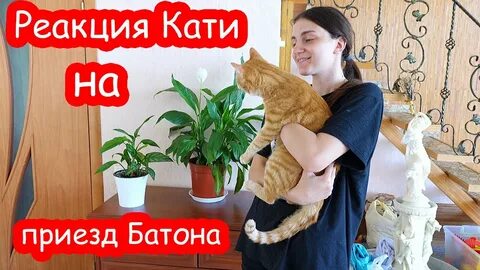 Реакция на качу качу