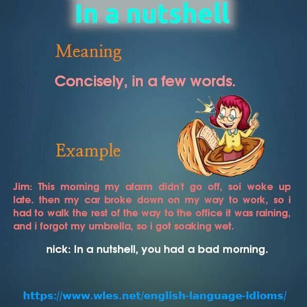 Nutshell перевод. In a nutshell перевод идиомы. in a nutshell idiom. in a nutshell перевод.