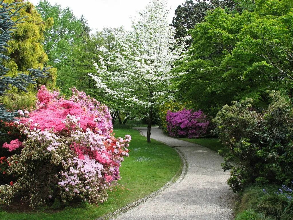 Красивые сады и парки. Самые красивые сады и парки мира. Красивый сад сад. Огромный сад.