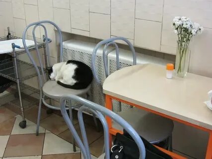 Пирожков на московском проспекте