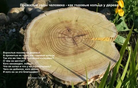 Срезы пеньков