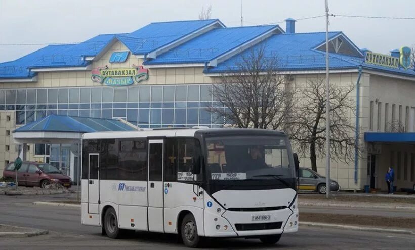 Мозырь автовокзал. Автовокзал Гомель. Автовокзал Лельчицы. Санитарный автобус. Пригородные автобусы могилев