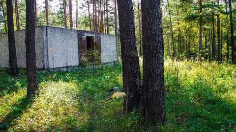 Зори свердловская